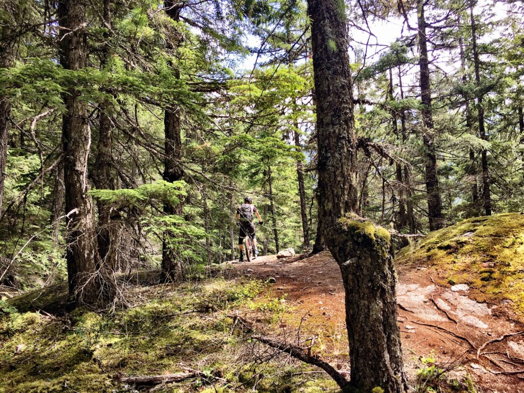 Mountainbiking in Whistler