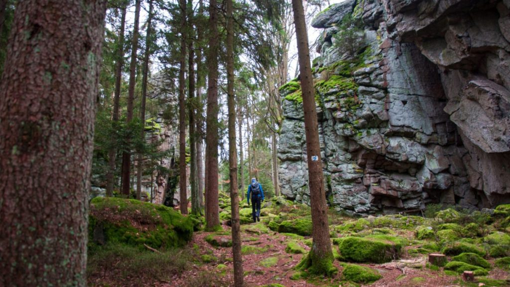 Steinwald, Frankische Schweiz