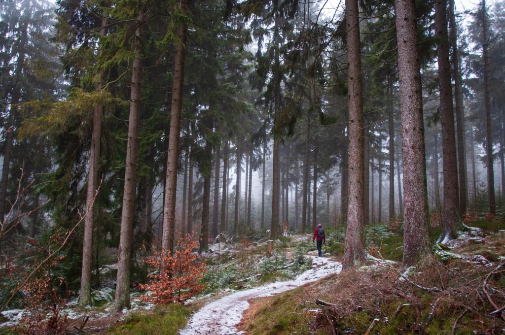 Steinwald, Frankische Schweiz