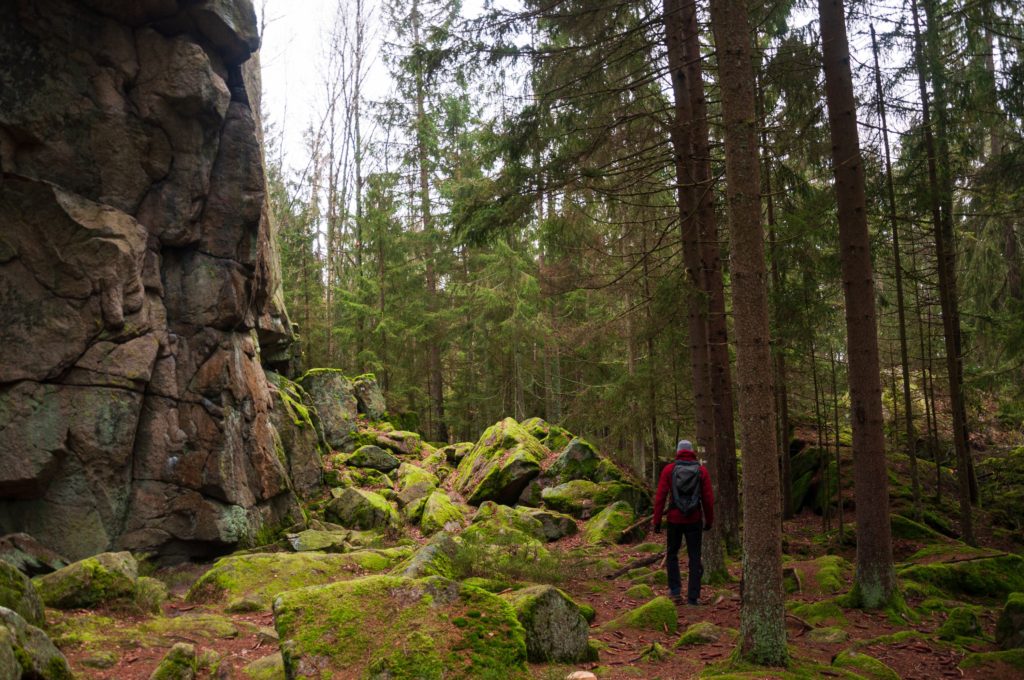 Steinwald, Frankische Schweiz