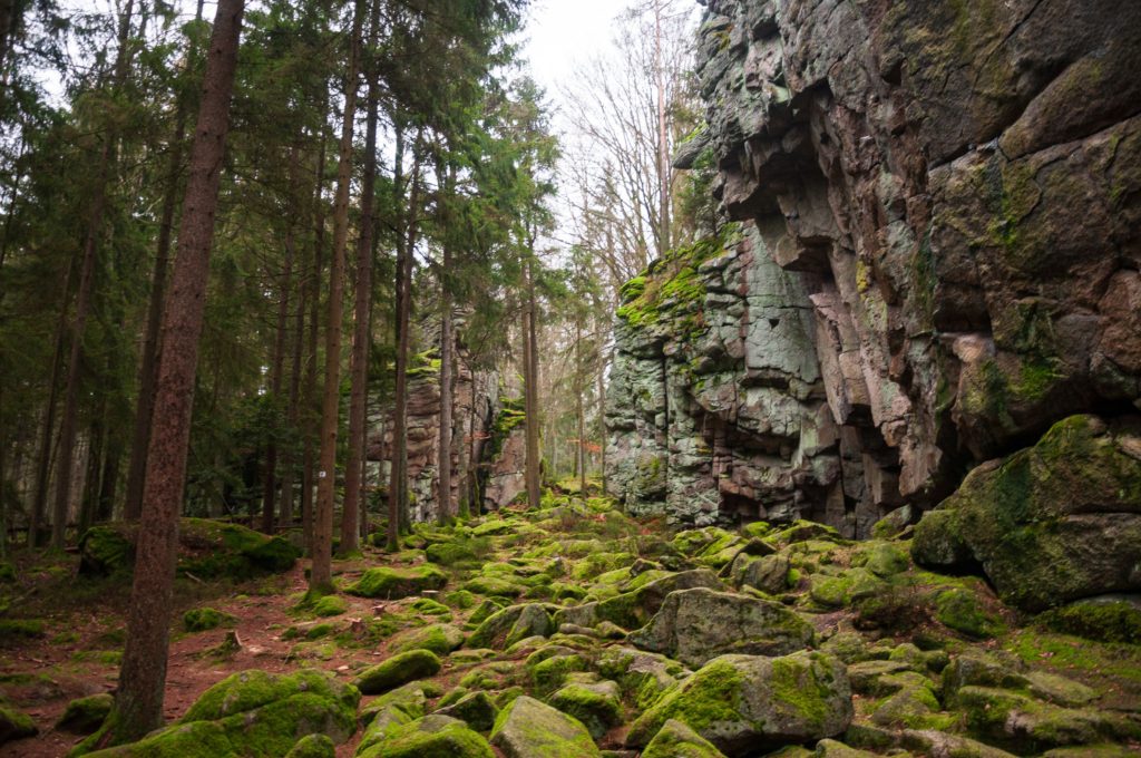 Steinwald, Frankische Schweiz