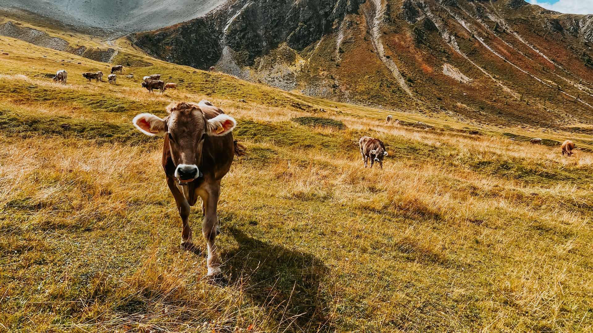 Arosa, Switzerland